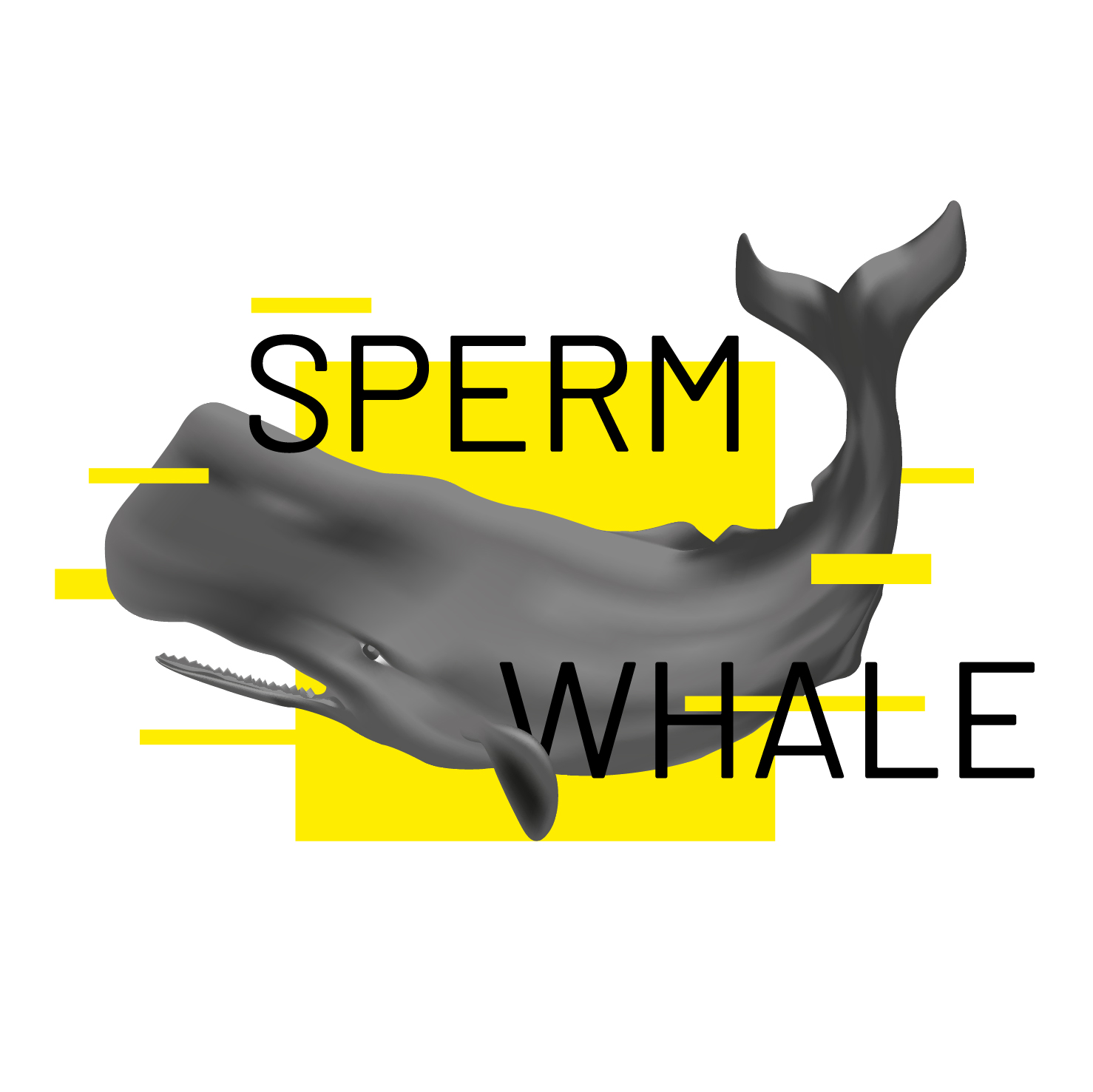 sperm whale